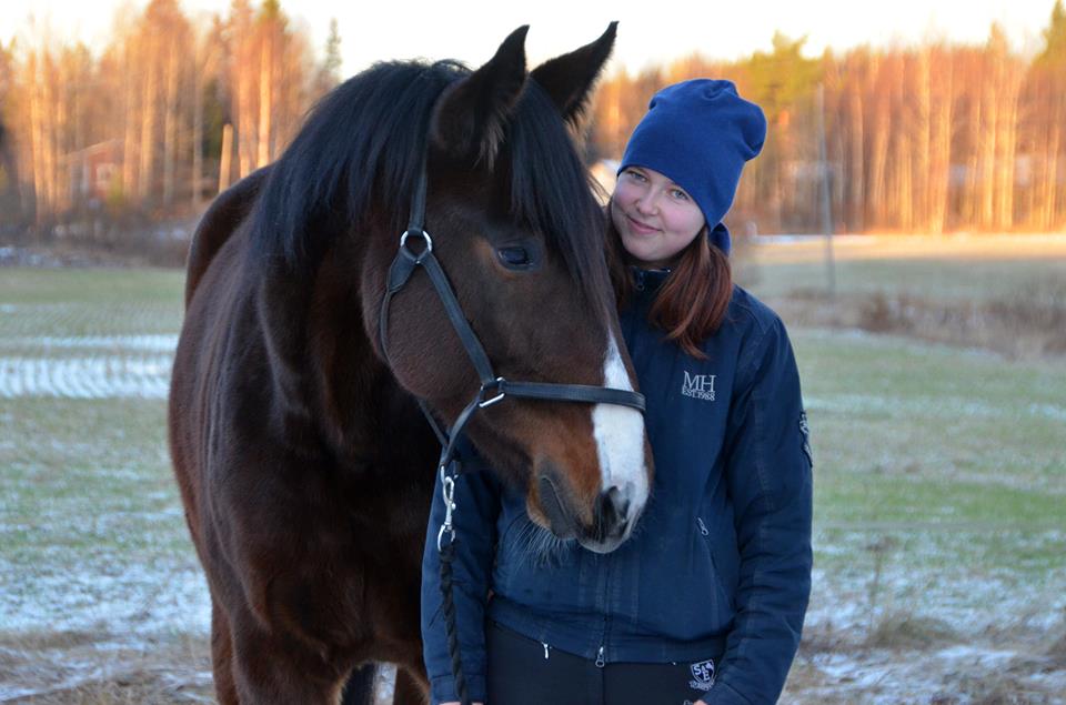 Hevosen hyvinvointipalvelu Heduli