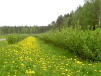 Tuomaalan Luomu ja Koneurakointi Petri Sutinen